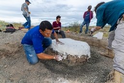 Un chercheur de l’Unifr a découvert des fossiles rares en Colombie