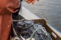 Baisse de prises et cormorans: Aide reconduite pour les pêcheurs du lac de Neuchâtel