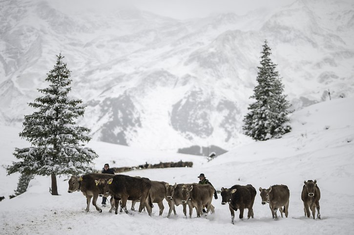 L'hiver a fait sa première apparition ces derniers jours dans les montagnes suisses. © KEYSTONE/GIAN EHRENZELLER